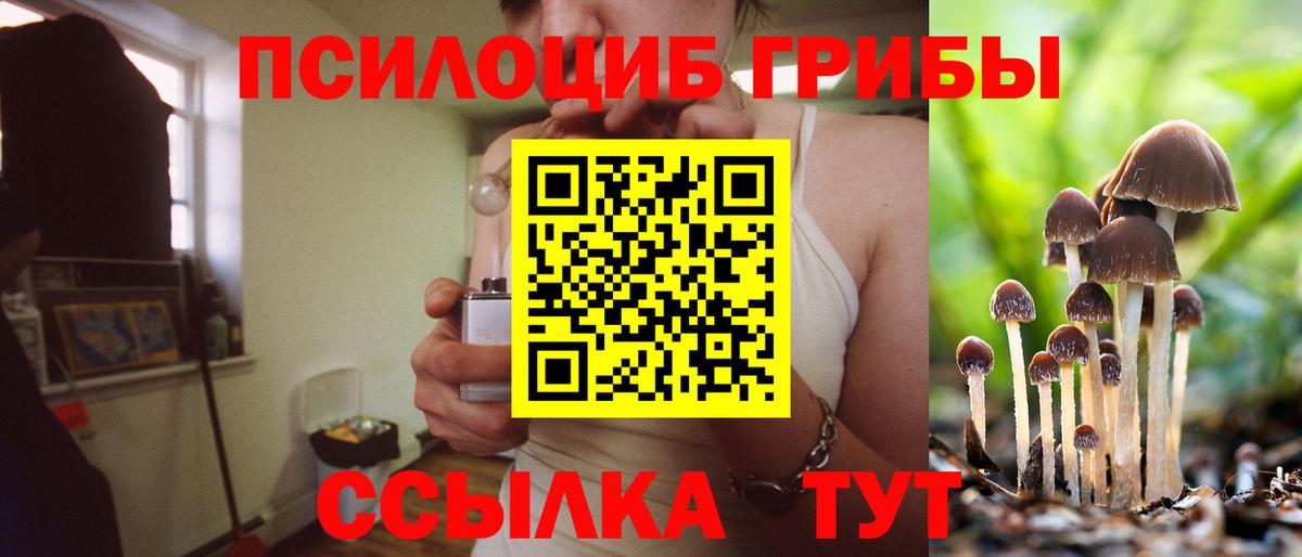 Топки  Галлюциногенные грибы Psilocybe  Вход с VPN 